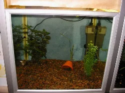 akvarium-75l-venstre