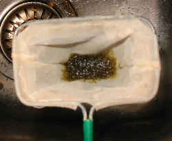 levende-klare-myggelarver