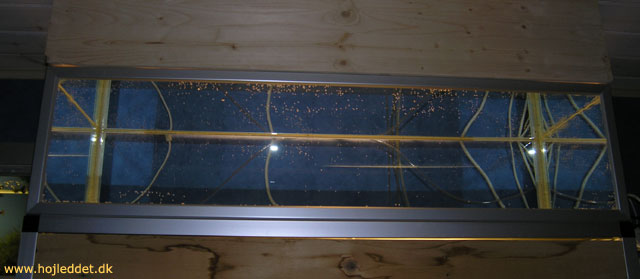 Here is the latest addition to the small tank rack: A custom built 100 liter tank that fits exactly on the top shelf.