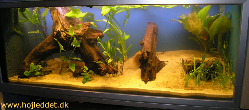 325 liter aquarium (top)
