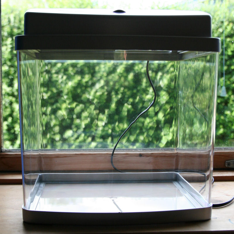 19 liter aquarium
