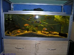 The aquarium as it looked in its previous setup - Malawi cichlids, including mbuna, utaka, and predators. Below, you can see some more DIY work - two drawers for equipment, which also ensure that no one crawls underneath.
