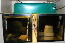 The finished result.