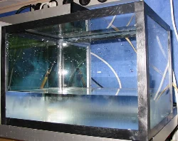 12 liter aquarium, black plastic rim (front)